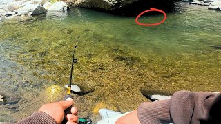 Increible pesca de truchas en un pequeño rio [upl. by Atinor134]