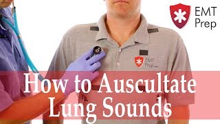 How to Auscultate Lung Sounds  EMTprepcom [upl. by Yddub]