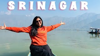 Srinagar श्रीनगर KashmirSrinagar in OctoberThings to do in SrinagarSrinagar itinerary [upl. by Eilyak]