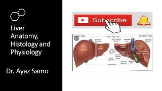 Liver in UrduHindi [upl. by Haida]