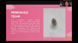 PJBL PARASITOLOGI VETERINERANCYLOSTOMA CANINUMKELOMPOK D2 [upl. by Clio]