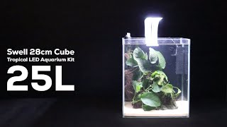 EASY Fish Tank SetUp Guide for Beginners Swell 28cm Cube Tropical LED Aquarium Kit 25L [upl. by Assilac]