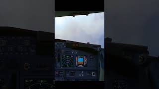 MAFS2020 738 aviation msfs2020 pmdg737 pmdg777 landing p3dv4 p3dv5 pmdg747 [upl. by Addison689]