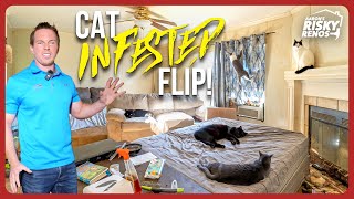 Cat Infested House Flip [upl. by Freudberg849]