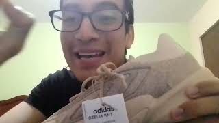 REVIEW  OPINIÓN ADIDAS OZELIA KNIT [upl. by Adne302]