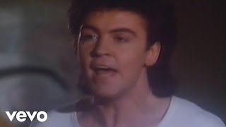 Paul Young  Im Gonna Tear Your Playhouse Down Official Video [upl. by Cinderella511]