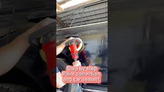 How to do paint correction and car sealant step by step [upl. by Anauqcaj]