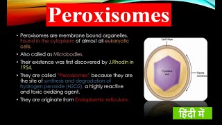 What is Peroxisome   Structure and Functions  Cell Organelles  Fundamental Unit of Life [upl. by Edia]