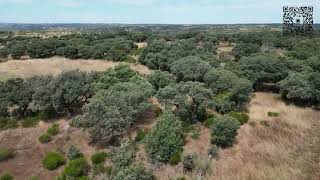 Villardiegua de la Ribera  Alrededores  4K  Drone  DJI [upl. by Doreg]