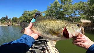 fishing puddingstone lake for bass [upl. by Eniron]