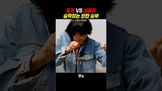 똥개 VS 쇠파리 자웅을 겨루는 맞짱 결투 [upl. by Nerra]