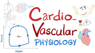 Cardiovascular Physiology  PressureVolume loops Cardiac Cycle ESV EDV SV CO Starling Law [upl. by Latreece]