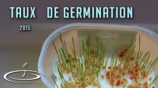 Contrôle du taux de germination de vos semences  2015 [upl. by Aihset]