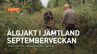 Älgjakt i Jämtland  Septemberveckan [upl. by Wamsley]