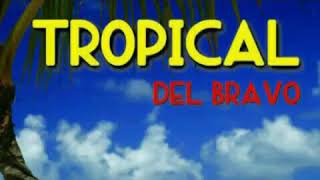 Tropical del bravo [upl. by Alekahs]