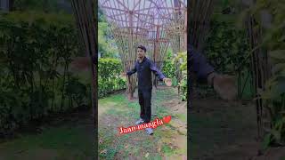 Jaan maagla😘 love vairalvideo ytstuduo saptarishivnathvlogs bhojpuri trendingshorts song [upl. by Devy]