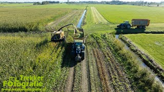 Oudwoude  Maïsoogst 2024  Chopping Maize  Mais Häckseln  New Holland  FR500  Veenhuis [upl. by Noivert]