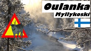 Zu kalt 33°C Finnland Winter Wanderung Oulanka Myllykoski [upl. by Syman]