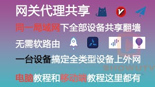 翻墙新姿势，网关翻墙，shadowrocket、圈x、Clash、ssr、v2rayN等家庭局域网代理共享，家庭全平台设备都可上外网，包括电视盒子等 [upl. by Aketal]