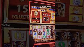 MEGA JACKPOT OVER 10000 DOLLARS casino casino jackpot grandjackpot shortsvideo shorts [upl. by Driskill]