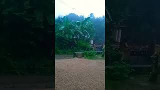 മഴയോട് മഴ love music attitude song pothichoru carryminati cooking [upl. by Medina941]