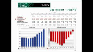 Asset Liability Management Webinar  Part 1 of 2 [upl. by Panthea145]