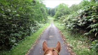 Hokkaido Japan Horse Riding WWOOF Japan [upl. by Laven]