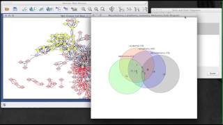 Venn and Euler Diagrams app for Cytoscape 3x [upl. by Debera]