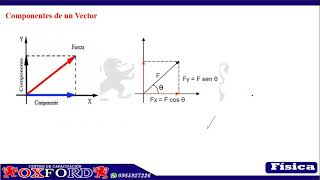 MAGNITUDES ESCALARES Y VECTORIALES [upl. by Beard]