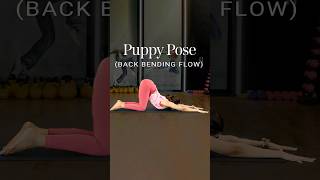 Puppy Pose  Back Bending Flow  Yoga For Strength  Yoga Back Stretch  Yoga Flow shorts [upl. by Margette]