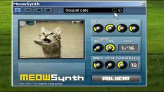 MEOW SYNTH by Knobster [upl. by Sirovaj]