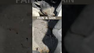 PAIN amp GAIN Vol 1  Jaguar SType Restoration [upl. by Ajar]