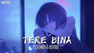 Tere Bina Sloewd amp Reverb  lyrics Sad music song  Zohaib sagar [upl. by Remliw]