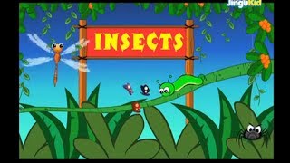 Learn About Insects  Pre School amp Kindergarten Educational Videos  Jingu Kids [upl. by Donnamarie]