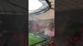 Lechia Gdańsk fans [upl. by Voleta]