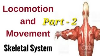 Movement amp Locomotion Part 2  Human Anatomy and Physiology By Laxmi kant sir [upl. by Einnor]