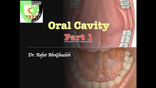 Oral Cavity  Part 1 [upl. by Bertila986]