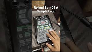 Roland Sp404 A Sample Loop Import Presentation By Neeraj Mehra Music Mb97804146319877155829 [upl. by Naloj]