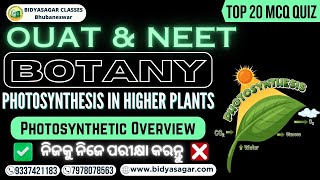 PHOTOSYNTHESIS IN HIGHER PLANTS MCQ  Photosynthetic Overview MCQ  NEET Biology MCQ [upl. by Trah]