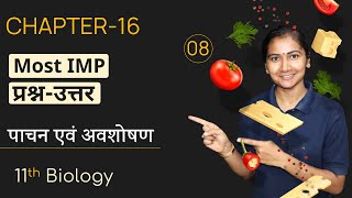 L8 Most IMP प्रश्नउत्तर  अध्याय16 पाचन एवं अवशोषण  11th Live Biology [upl. by Zilber]