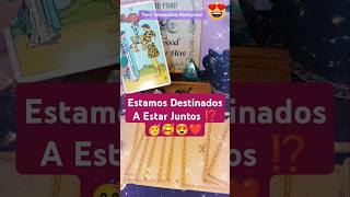 Estamos Destinados A Estar Juntos ⁉️🥳🥰❤️ tarot amor lecturadecartas latarotistawiccana [upl. by Eerhs75]