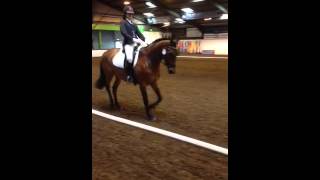 From yesterday 1st place in Novice Freestyle Dressage to Music [upl. by Rehpotsyrk624]