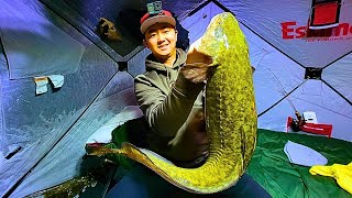 Burbot Fishing amp Winter Camping on Lake Diefenbaker Saskatchewan Canada [upl. by Isoais]