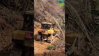 CAT Dozer Clearing bush for plantation road [upl. by Ebag]