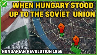 Twelve Days of Freedom  Hungarian Revolution 1956 Documentary [upl. by Entroc]