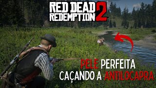 ANTILOCAPRA FÁCIL localização no mapa  Red Dead Redemption 2 COMPÊNDIO 107 [upl. by Uel]