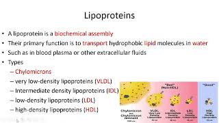 Lipids Classification  Lecture 7c [upl. by Dot531]