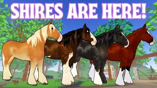 wild horse islands new breed shire [upl. by Akinot]