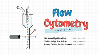 FLOW CYTOMETRY  BIOPHOTONIC [upl. by Carley]