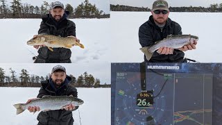 We Found a Lake Winnipesaukee HONEY HOLE Ice Fishing [upl. by Byron]